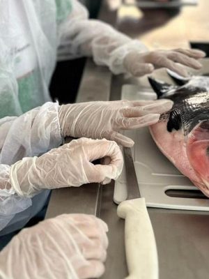 O município de Presidente Figueiredo (a 117 quilômetros de Manaus) sediará, entre os dias 3 e 7 de novembro, o evento “Cultivando Conhecimento: a Ciência por Trás da Criação de Peixes”, que busca aproximar a população das práticas sustentáveis da aquicultura e estimular o interesse científico sobre os ecossistemas aquáticos da Amazônia. A iniciativa é apoiada pelo Governo do Amazonas, por meio da Fundação de Amparo à Pesquisa do Estado do Amazonas (Fapeam), e integra a programação da Semana Estadual de Ciência e Tecnologia 2025. Amparado pelo Programa de Pop