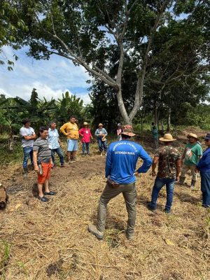 O Instituto de Desenvolvimento Agropecuário e Florestal Sustentável do Estado do Amazonas (Idam) concluiu, na terça-feira (02), o Curso de Sistemas Agroflorestais (SAF) no Ramal do Pupunhal, em Iranduba, a 27 quilômetros de Manaus. Participaram 20 agricultores familiares de Iranduba e de Rio Preto da Eva, a 57 quilômetros da capital.