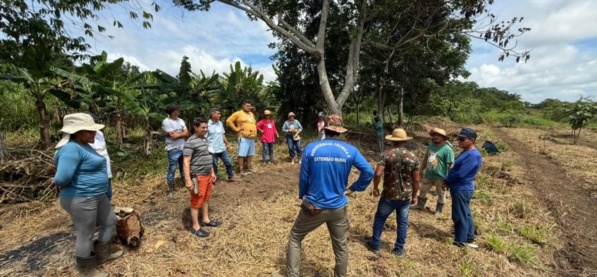 O Instituto de Desenvolvimento Agropecuário e Florestal Sustentável do Estado do Amazonas (Idam) concluiu, na terça-feira (02), o Curso de Sistemas Agroflorestais (SAF) no Ramal do Pupunhal, em Iranduba, a 27 quilômetros de Manaus. Participaram 20 agricultores familiares de Iranduba e de Rio Preto da Eva, a 57 quilômetros da capital.